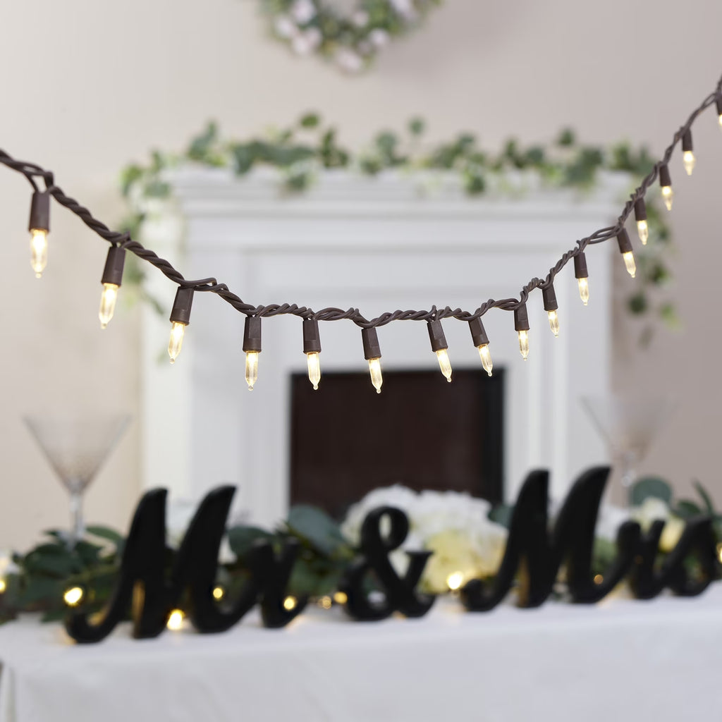 100-Count Warm White LED Outdoor String Lights with Brown Wire