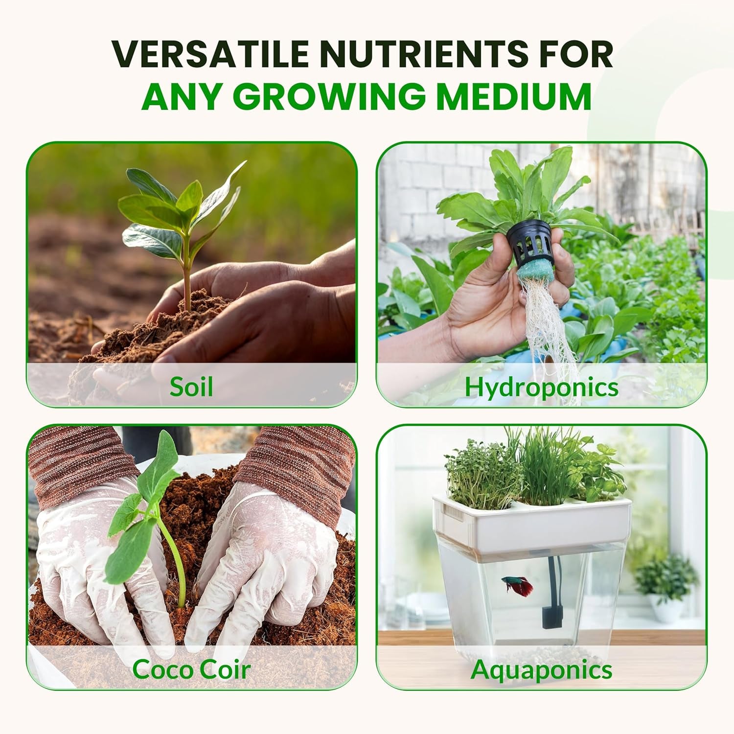 Base a & B Liquid Hydroponic Fertilizer | Complete Hydroponic Nutrients for Indoor and Outdoor Plants | Supports Healthy Vegetative Growth and Flowering Stage | 1 Gallon