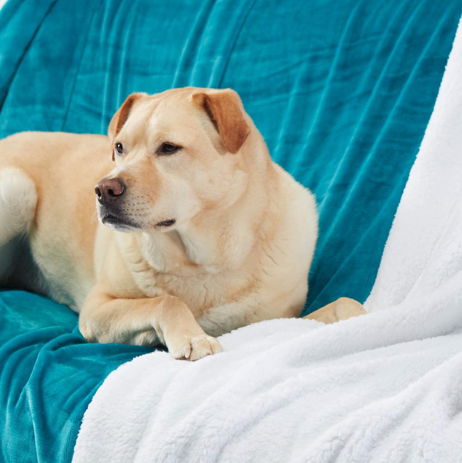 Sherpa Throw Blanket Super Soft Reversible Ultra Luxurious Plush Blanket, 40 X 50 Inches, Teal/White